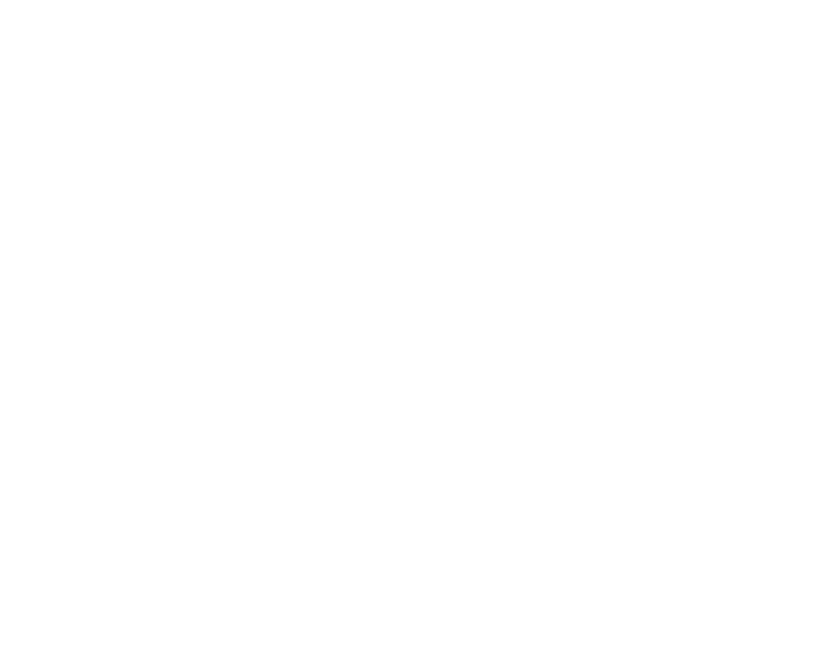 FOI Logo